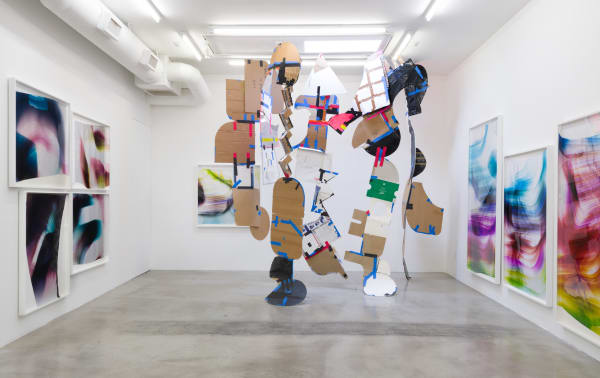 Installation view of Mariah Robertson: The Hydra at M+B, 2018