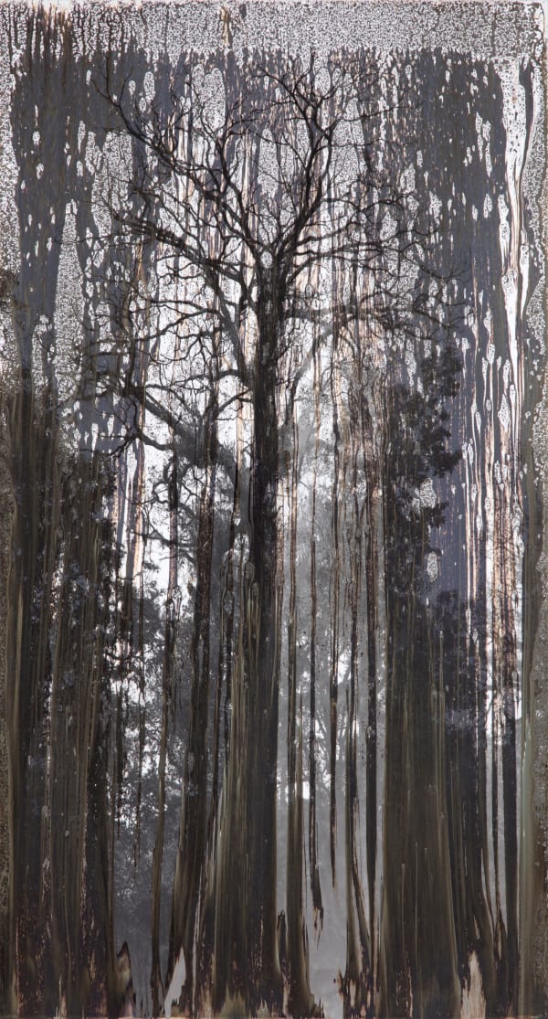 M B Brandt Agxb411A 2018 Web