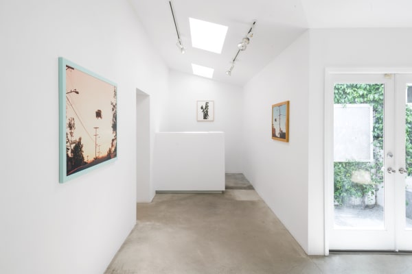 Matthew Porter: Skyline Vista installation view