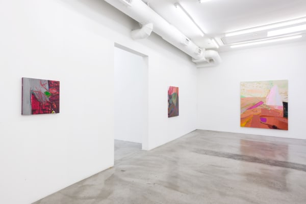 Installation view of Sarah Faux: Clench and Release at M+B, 2019