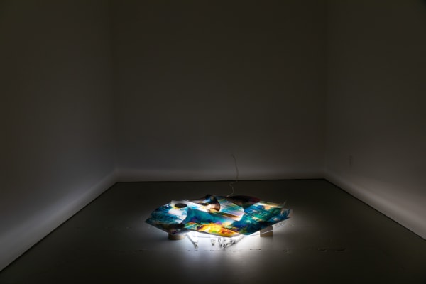 Installation view of Mariah Robertson: Eggs at Green Gallery, 2022