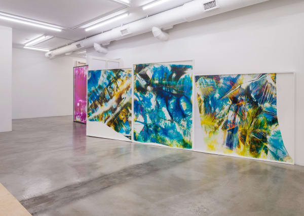 Installation view of Mariah Robertson: Photography Lovers' Peninsula at M+B, 2015