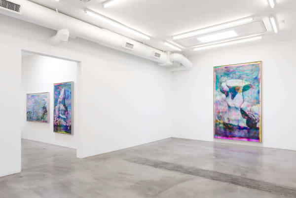 Installation view of Matthew Brandt: Vatnajökull at M+B, March 21 - June 20, 2020