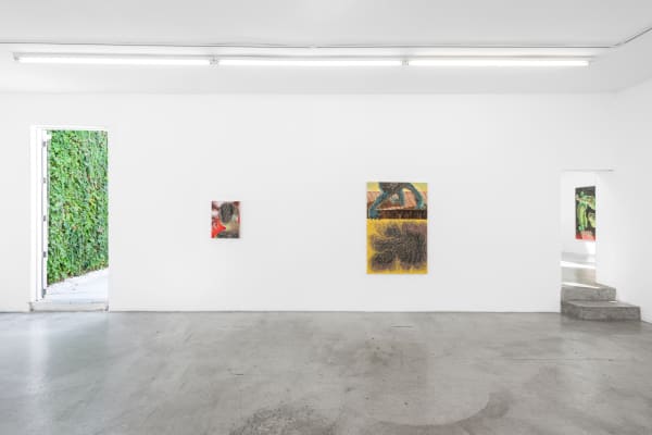 Installation view of 'Pulse’