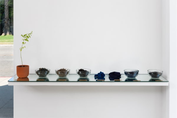 Rcd M B Chakrabarti 2021 Whenigetthatmoodindigo Install 08 Web