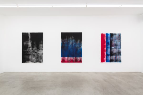 Phil Chang: Pictures, Pigment and Canvas, installation view