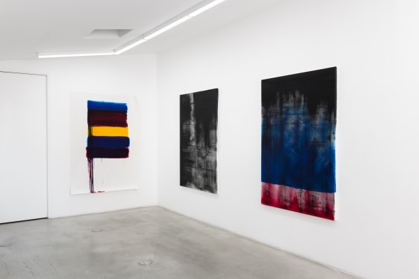 Phil Chang: Pictures, Pigment and Canvas, installation view