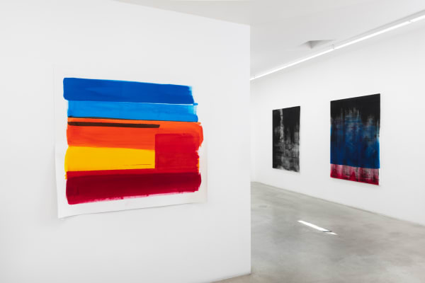 Phil Chang: Pictures, Pigment and Canvas, installation view