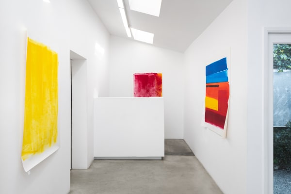 Phil Chang: Pictures, Pigment and Canvas, installation view
