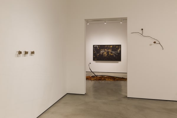 Installation view of Tyler Christopher Brown: This Bitter Earth at M+B, 2023