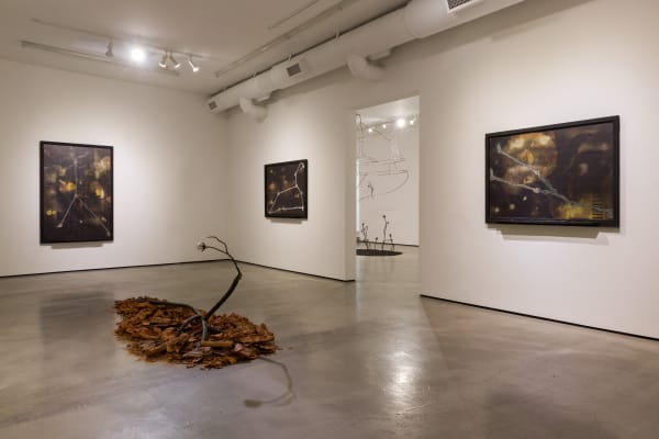 Installation view of Tyler Christopher Brown: This Bitter Earth at M+B, 2023