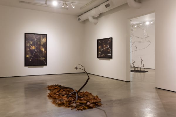 Installation view of Tyler Christopher Brown: This Bitter Earth at M+B, 2023