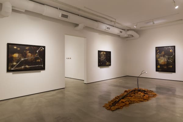 Installation view of Tyler Christopher Brown: This Bitter Earth at M+B, 2023