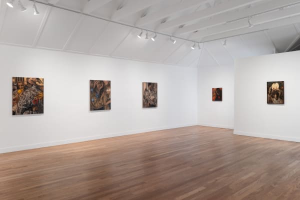 Installation view of Dennis Scholl: A Report on Hidden Kindness, M+B, Los Angeles, CA