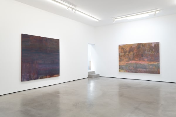 Installation view of Catherine Fairbanks: Nurses Under Lakes, M+B, Los Angeles,