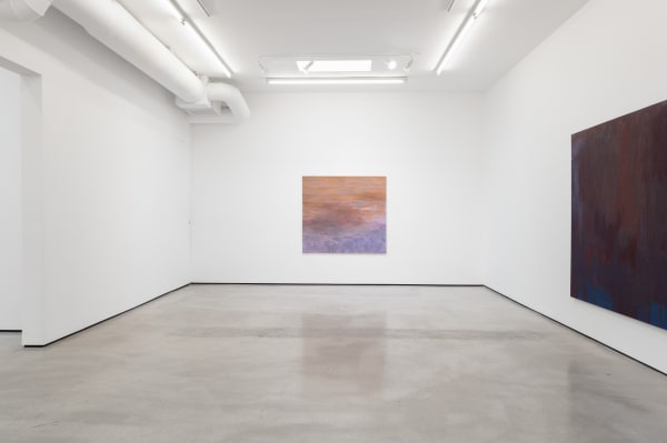 Installation view of Catherine Fairbanks: Nurses Under Lakes, M+B, Los Angeles,