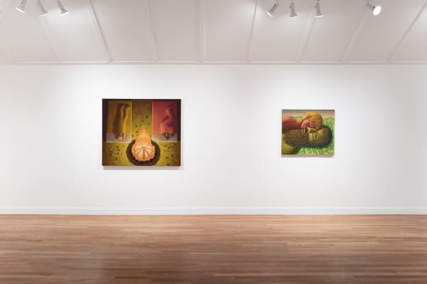 Installation view of Nat Meade: Tomorrow, the Flood at M+B, Los Angeles, 2024