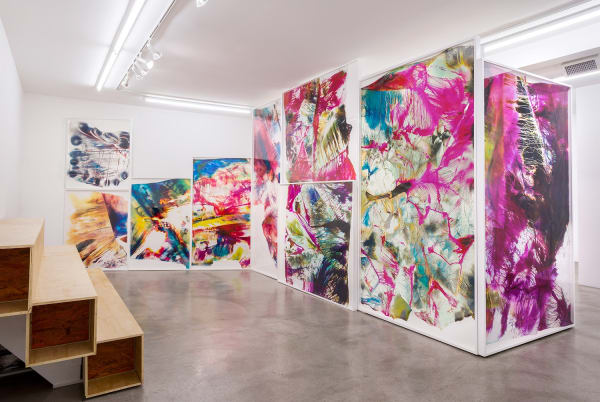 Installation view of Mariah Robertson: Photography Lovers' Peninsula at M+B, 2015
