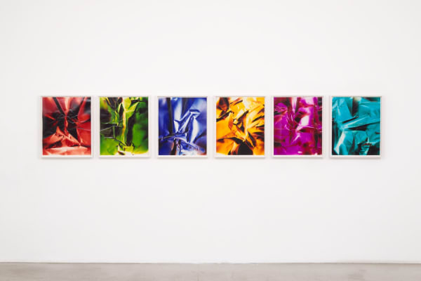 Ellen Carey Dings & Shadows