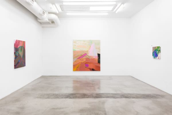 Installation view of Sarah Faux: Clench and Release at M+B, 2019