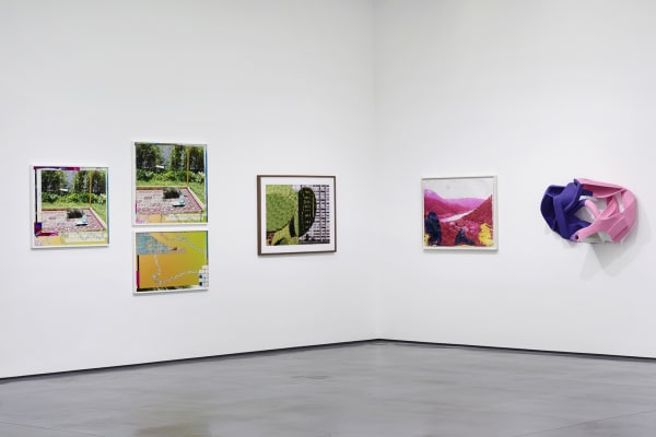 Matthew Brandt: Second Chances at the Aspen Art Museum, Mar 27 - Jun 28, 2015