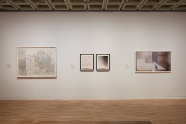 Matthew Brandt: New Matter at Art Gallery of New South Wales, September 10, 2016 - Febraury 26, 2017