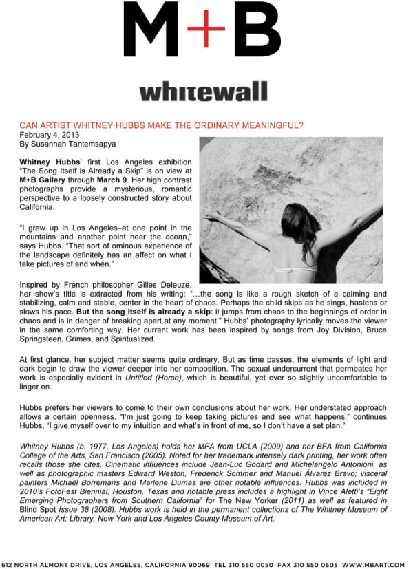 Can Artist Whitney Hubbs Make the ordinary Meaningful?