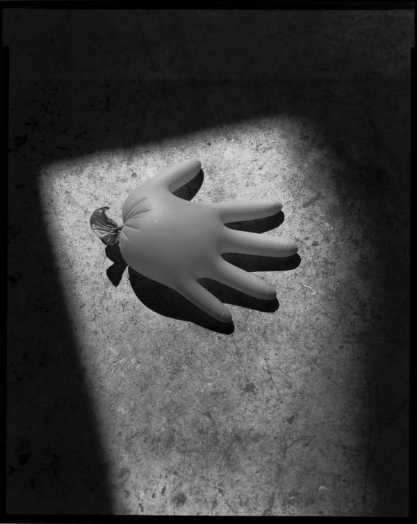 Waterhandschoen, 2022