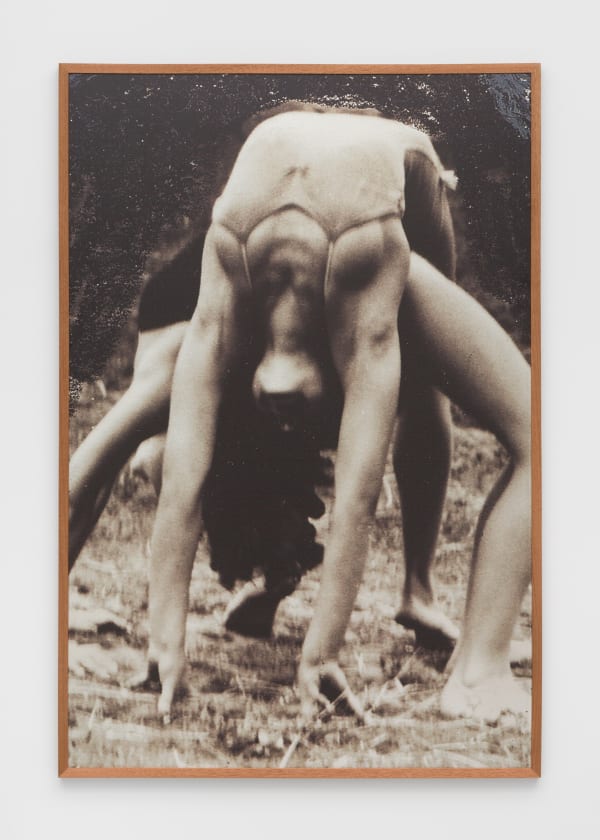 Jytte Rex: My Tender Wife