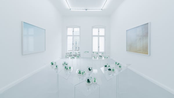 Installation view, A Year without the Sourthern Sun, 2020, courtesy of the Hua International,Berlin