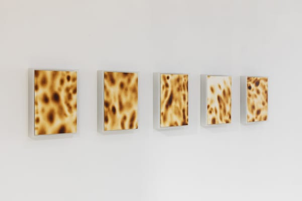 Installation view, Passing By, 2019/20, courtesy of the Hua International and artist, Beijing
