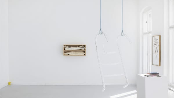 Installation View |Soft Machines, 2022, photo by Timo Ohler, courtesy of the artist and Hua International