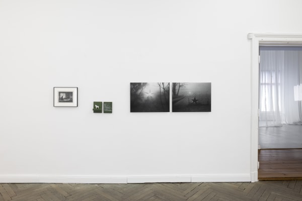 Photo by Timo Ohler, courtesy of the artist and Hua International, Exhibition Designed by Krista Xueying Yu.