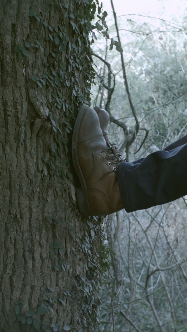 Baron and Baroness under the Trees, 2023, Chen Dandizi, dual channel video, HD, color, silent, 2’05”, courtesy of the artist and Hua International.