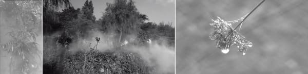Sixty Seconds of Wonderland Park, 2019, Chen Dandizi, three-channel video, color, sound, 9'45"