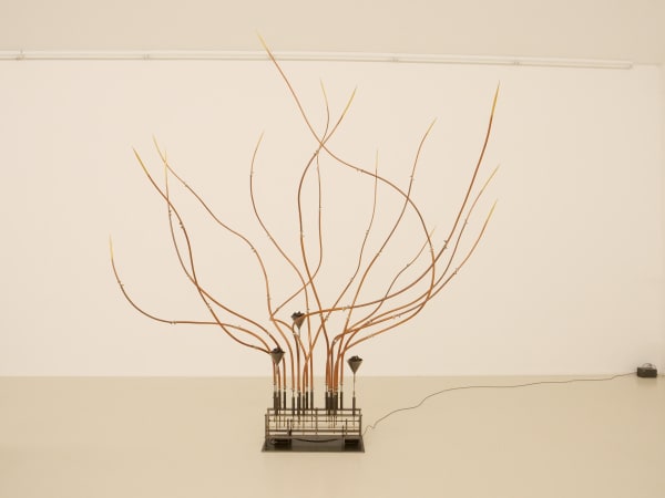 2001 Rebecca Horn Brennender Busch, 2001 Copper, steel, coal, powder, glass funnel, motors, controller, synthetic material 350 x 330 x 200 cm | 137 3/4 x 129 7/8 x 78 3/4 in Photos: Julia Giebeler © Rebecca Horn, 2023 Courtesy Rebecca Horn and Galerie Thomas Schulte, Berlin