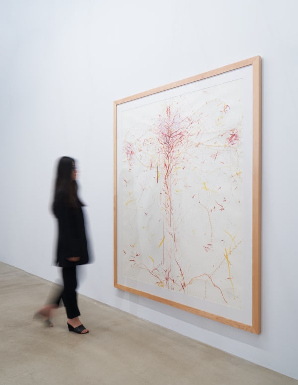 Photo by Haiyang courtesy of the artist and Hua International, Exhibition Designed by Krista Xueying Yu.