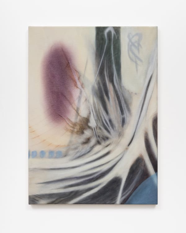 Kolja Kärtner Sainz, Untitled (Blind Spots), 2024, Oil and ink on canvas, 55 x 40 cm
