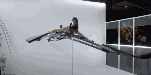 Balancing Bird, Tong Kunniao