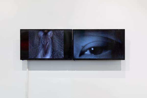 Installation view | 2021, Chen Dandizi,Beijing EXPO 2021, courtesy of HuArt Company GmbH