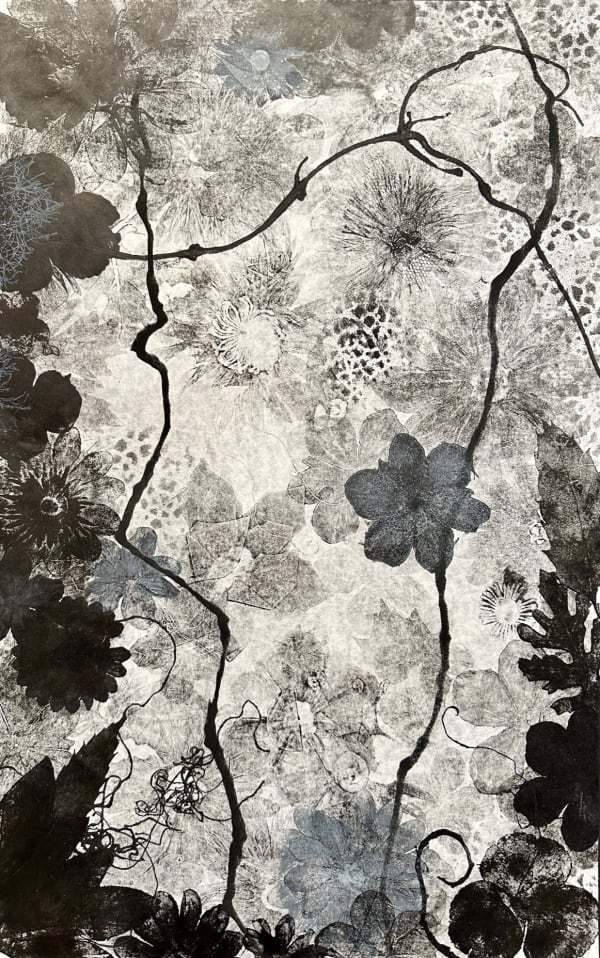 Judy Haberl