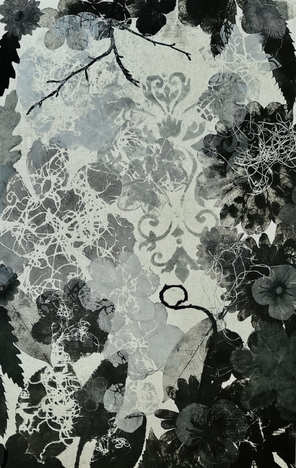 Judy Haberl