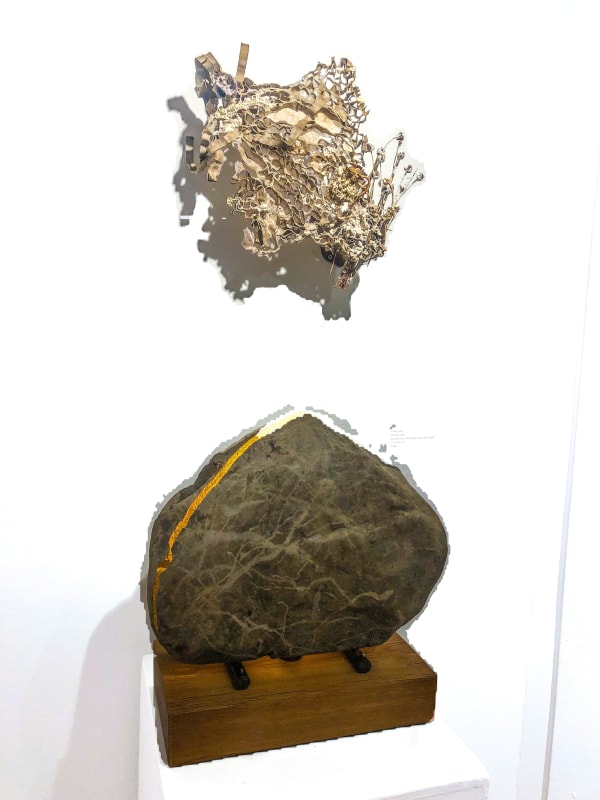 5B052218 2Bfd 424D A514 5A10F85254E3