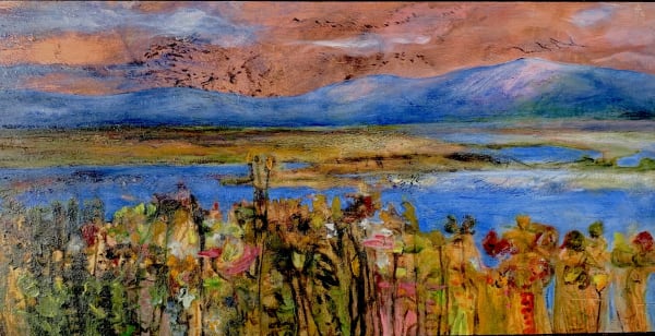Leith Wetlands Ashokan