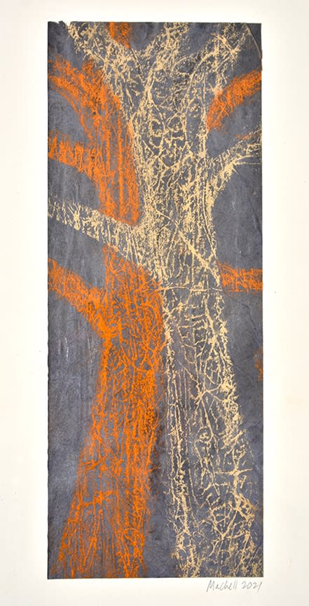 Tree 17 © Iain Machell 2021