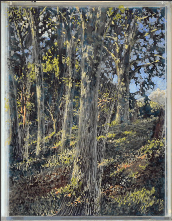 Oaks, Morning Under Evening © Martin Weinstein 2021