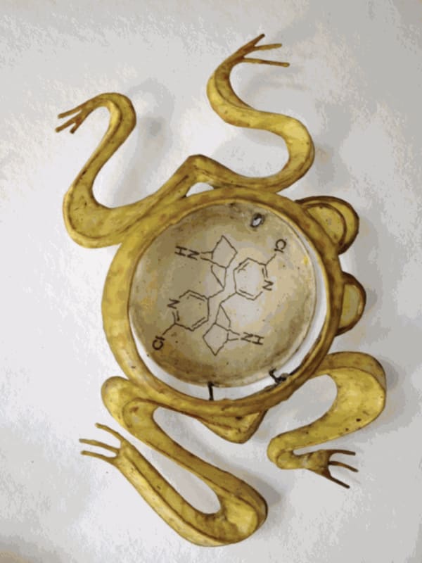 Frog (Epibatidine) pain killer © Christy Rupp