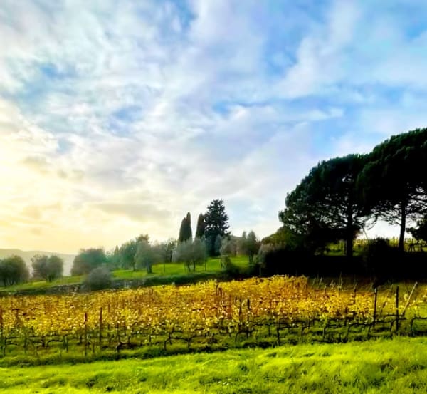 ARTIST RESIDENCY IN TUSCANY