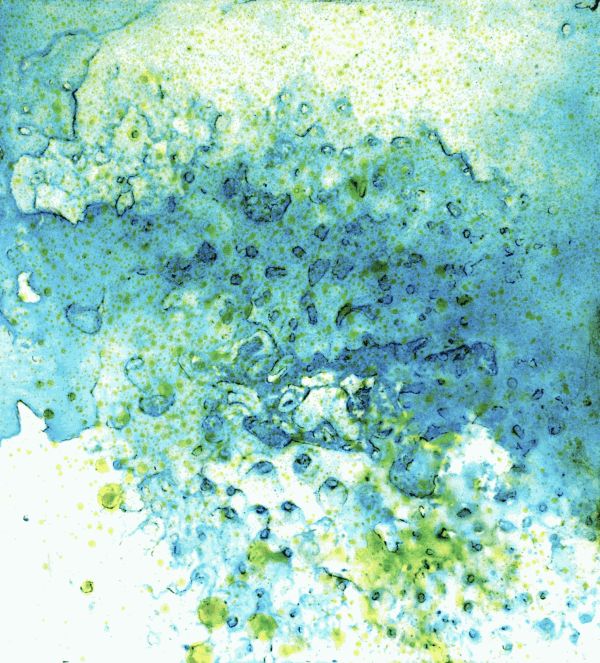Corallium 16 © Virginia Bradley, 2022, 23" x 21" inches