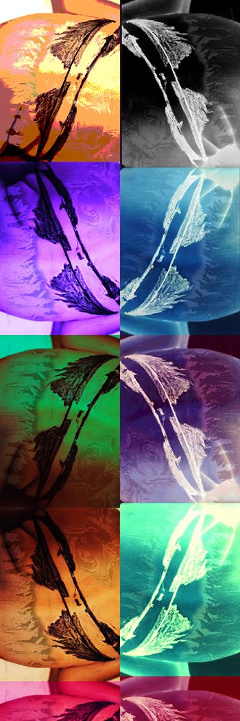 Back Swirl© Kaethe Kauffman 2022 Limited Edition Print On Silk 30 X 65 Inches